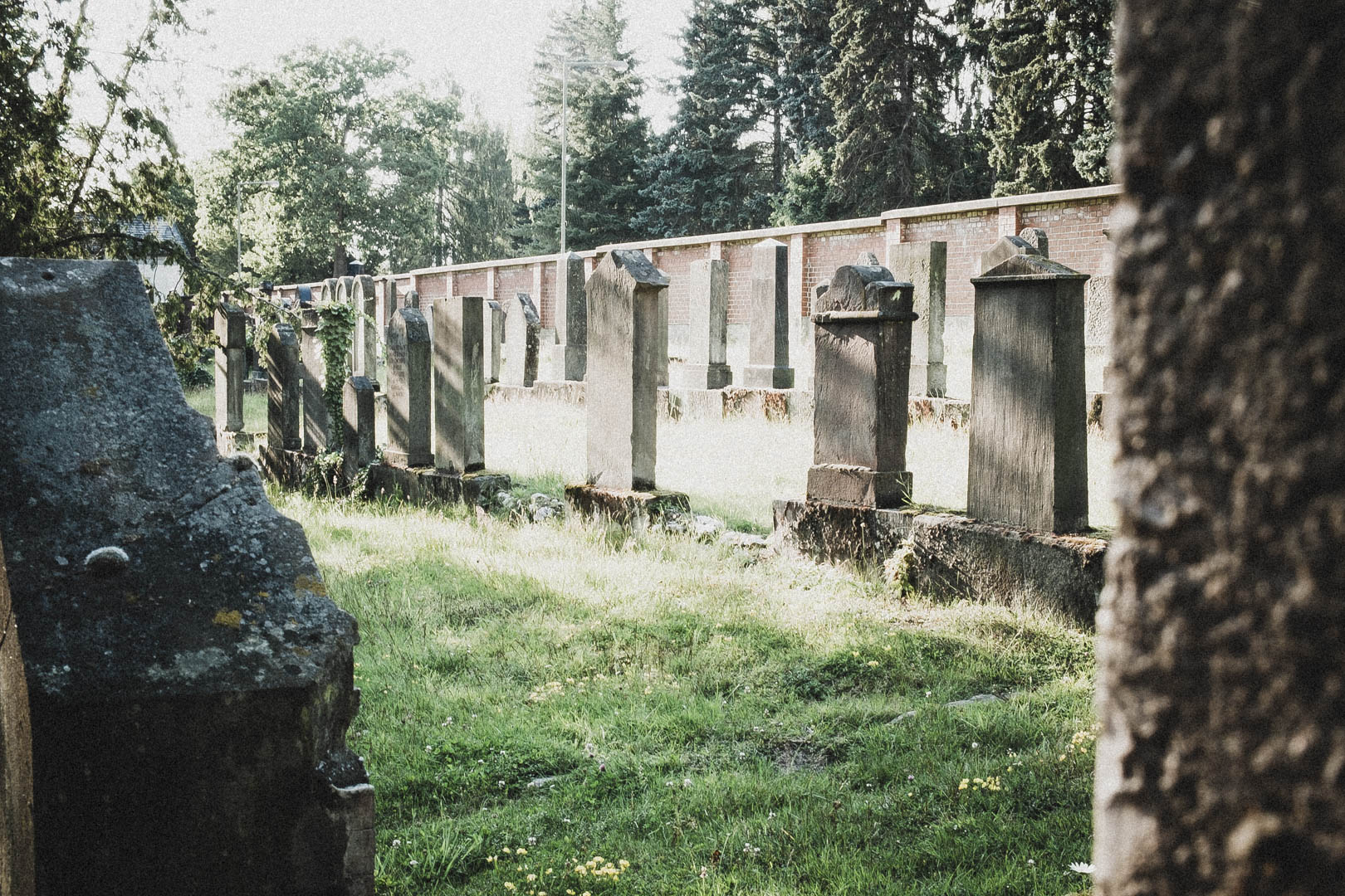 Jüdischer Friedhof Kassel-Bettenhausen